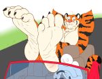  4_toes anthro black_claws black_eyes car claws clothed clothing duo esso felid foot_focus fur hi_res human male mammal muscular muscular_male orange_body orange_fur outside pantherine solo_focus striped_body striped_fur stripes tiger toes topless vehicle white_body white_fur zp92 
