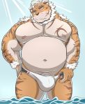  2020 anthro belly blush felid genitals hi_res hombretigre humanoid_hands kemono male mammal moobs navel nipples outside overweight overweight_anthro overweight_male pantherine penis solo tiger tokyo_afterschool_summoners video_games wajirogi water 