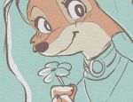  2020 anthro canid canine clothed clothing disney flower fox fur hi_res holding_object looking_at_viewer maid_marian mammal memegmu plant robin_hood_(disney) smile solo 