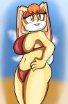  anthro beach big_breasts big_butt bikini breasts butt clothed clothing cloud female fur half-closed_eyes hand_on_hip hi_res lagomorph leporid looking_at_viewer mammal mature_female narrowed_eyes open_mouth orange_eyes rabbit seaside smile solo someth1ngoranother sonic_the_hedgehog_(series) standing swimwear teeth thick_thighs tongue vanilla_the_rabbit wide_hips 
