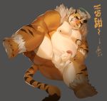  2020 anthro balls belly blush erection felid genitals hi_res hombretigre jmeo1230 kemono male mammal moobs nipples overweight overweight_anthro overweight_male pantherine penis simple_background solo tiger tokyo_afterschool_summoners video_games 