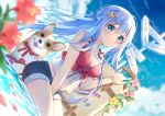  1girl animal bare_arms bare_shoulders between_legs blue_eyes blue_hair blue_shorts blue_sky blurry day denim denim_shorts depth_of_field dog dutch_angle emori_miku emori_miku_project frilled_shirt frills hair_ornament highres long_hair looking_at_viewer midriff outdoors shirt short_shorts shorts sign sitting sky sleeveless sleeveless_shirt smile solo suimya watch water welsh_corgi white_shirt wristwatch 