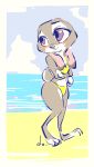  2020 absurd_res anthro beach bikini blush border clothing disney female fur grey_body grey_fur hi_res judy_hopps lagomorph leporid mammal midriff outside pnoll rabbit sea seaside smile solo standing swimwear water white_border zootopia 