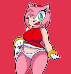  amy_rose anthro big_breasts bottomwear breasts clothed clothing clothing_lift eulipotyphlan female gloves green_eyes handwear hedgehog hi_res looking_at_viewer mammal one_eye_closed open_mouth panties pink_body red_background simple_background skirt skirt_lift smile solo someth1ngoranother sonic_the_hedgehog_(series) standing thick_thighs tongue underwear video_games wide_hips wink 