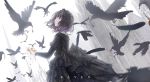  animal apple228 bird black_hair building goth-loli lolita_fashion original purple_eyes short_hair 