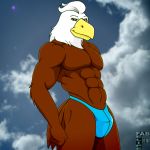  1:1 abs accipitrid accipitriform anthro avian bald_eagle biceps big_muscles biped bird brown_body brown_feathers bulge clothed clothing cloud digital_media_(artwork) eagle fabfelipe feathers hair hi_res looking_at_viewer male muscular muscular_anthro muscular_male outside panties pecs photo_background pose sea_eagle sky solo standing topless underwear white_body white_feathers yellow_eyes 