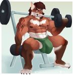  abs anthro balaclavacat balls bodily_fluids bulge canid canine canis clothed clothing digital_media_(artwork) dumbbell erection ethiopian_wolf exercise fur genitals gym hair hi_res jockstrap male mammal muscular muscular_male musk nipples nude open_mouth pecs simple_background solo sweat topless underwear weightlifting weights workout 
