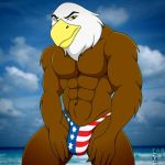  1:1 abs accipitrid accipitriform anthro avian bald_eagle biceps big_muscles biped bird brown_body brown_feathers bulge clothed clothing cloud digital_media_(artwork) eagle fabfelipe feathers looking_at_viewer male muscular muscular_anthro muscular_male outside panties pecs photo_background pose sea_eagle seaside sky solo standing stars_and_stripes topless underwear united_states_of_america white_body white_feathers yellow_eyes 