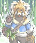  2009 ailurid anthro biped clothing fur kemono low_res mammal orange_body orange_fur outside paws red_panda snow solo sweater topwear unknown_artist 