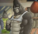 abs ape biceps big_daddy_(sing) duo furryrevolution gorilla haplorhine illumination_entertainment johnny_(sing) male male/male mammal nipples obliques pecs primate sing_(movie) triceps 