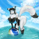  1:1 android anthro ball beach_ball bent_over big_breasts bikini blue_eyes breasts canid canine chromatic_aberration clothing cloud female fox hi_res huge_breasts inner_ear_fluff lens_flare machine mammal presenting presenting_breasts robot sockhungryclutz solo swimwear tuft water 