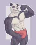  abs anthro bulge civvil clothing giant_panda gouhin hi_res male mammal muscular muscular_anthro muscular_male nipples pecs solo tight_clothing ursid 