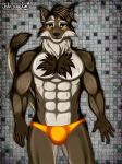  anthro blush bodily_fluids brown_body brown_fur bulge canid canine clothed clothing detailed_background fluffy fluffy_tail fur hi_res male mammal muscular muscular_anthro muscular_male open_mouth open_smile partially_clothed smile solo sweat underwear yellow_eyes zi0808 