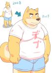  2015 anthro belly blush bottomwear brown_body brown_fur canid canine canis clothing domestic_dog fur japanese_text kemono kick_(artist) male mammal overweight overweight_anthro overweight_male shirt shorts simple_background solo text topwear white_background 