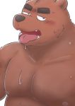  2015 anthro belly blush bodily_fluids brown_body brown_fur fur kemono kick_(artist) male mammal moobs nipples overweight overweight_anthro overweight_male simple_background solo sweat tongue tongue_out ursid white_background 