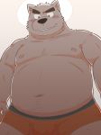  2015 anthro belly blush bulge canid canine canis clothing domestic_dog kemono kick_(artist) male mammal moobs navel nipples overweight overweight_anthro overweight_male simple_background solo underwear 