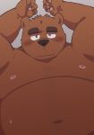  2015 anthro belly blush brown_body brown_fur fur humanoid_hands kemono kick_(artist) male mammal nipples overweight overweight_anthro overweight_male simple_background solo ursid 