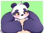  2020 alp_(tas) anthro blush fur genitals giant_panda hi_res kusosensei male mammal oral overweight overweight_male penis purple_body purple_fur sex simple_background solo_focus tokyo_afterschool_summoners ursid video_games white_body white_fur 