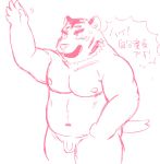  2014 anthro balls belly blush felid flaccid genitals humanoid_hands japanese_text kemono kick_(artist) male mammal moobs navel nipples overweight overweight_anthro overweight_male pantherine penis simple_background solo text tiger white_background 