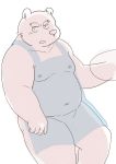  2011 anthro apron belly clothing kemono kick_(artist) male mammal moobs navel nipples overweight overweight_anthro overweight_male simple_background solo ursid white_background 