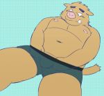  2014 anthro belly brown_body brown_fur bulge clothing fur kemono kick_(artist) male mammal moobs navel nipples overweight overweight_anthro overweight_male solo suid suina sus_(pig) underwear wild_boar 