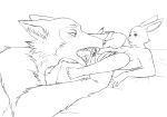  2020 absurd_res anthro anthro_on_anthro beastars black_and_white bodily_fluids breasts canid canine canis cunnilingus deermouze domestic_rabbit duo feet female genitals haru_(beastars) hi_res humanoid_feet interspecies lagomorph larger_male legoshi_(beastars) leporid licking lying male male/female mammal monochrome nipples nude on_back oral oryctolagus predator/prey pussy rabbit saliva scar sex sharp_teeth size_difference sketch smaller_female teeth tongue tongue_out vaginal wolf 