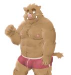  2011 anthro belly brown_body brown_fur bulge clothing fur humanoid_hands kemono kick_(artist) male mammal moobs nipples overweight overweight_anthro overweight_male simple_background solo suid suina sus_(pig) underwear white_background wild_boar 