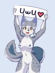  &lt;3 2020 absurd_res anthro areola blue_background blue_body blue_fur blue_spots breasts domestic_cat ear_tuft felid feline felis female fur genitals grey_body grey_fur hi_res holding_object holding_sign inner_ear_fluff kelly_(ruribec) mammal navel nipples open_mouth open_smile portrait pussy ruribec simple_background smile solo somali_cat spots spotted_body spotted_fur three-quarter_portrait tuft uwu whiskers white_body white_fur yellow_eyes 