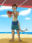  3:4 anthro beach clothed clothing fish fuze hi_res holding_object holding_underwear male marine navel nipples seaside shark solo standing swimming_trunks swimwear topless underwear 