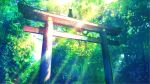  animal cat lifeline nobody original torii tree 