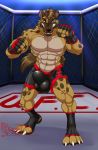  2020 4_toes 5_fingers abs anthro balls_outline biceps big_bulge black_nose blue_eyes bodily_fluids brown_body brown_hair brown_skin bulge clothing digitigrade eyebrows fighting_pose fighting_ring fingers genital_outline gloves hair handwear hi_res hungothenomster hyaenid looking_at_viewer male mammal multicolored_body multicolored_skin muscular muscular_anthro muscular_male muscular_thighs muzzle_(marking) pecs penis_outline pose sharp_teeth solo spots spotted_hyena sweat tan_body tan_skin teeth tight_underwear toes two_tone_body two_tone_skin ufc underwear white_body white_skin 