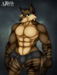  3:4 anthro brown_body brown_fur bulge canid canine clothed clothing fluffy fluffy_tail fur green_eyes hi_res male mammal multicolored_body multicolored_fur muscular muscular_anthro muscular_male partially_clothed simple_background solo two_tone_body two_tone_fur underwear zi0808 
