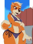 anthro bikini box-s breasts canid canine canis clothing domestic_dog female hi_res mammal outside side-tie_bikini solo swimwear thick_thighs wide-hips 