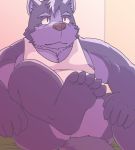  2020 anthro belly canid canine canis clothing domestic_dog fur humanoid_hands kemono male mammal misterdonn nipples overweight overweight_anthro overweight_male purple_body purple_fur shirt sitting solo topwear 