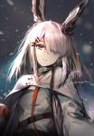  1girl animal_ears arknights bangs bunny_ears commentary elise_(piclic) facial_scar frostnova_(arknights) grey_capelet grey_eyes hair_ornament hairclip long_hair long_sleeves looking_at_viewer nose_scar scar silver_hair smile solo upper_body 