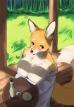  alcohol anthro beverage big_breasts blush breasts brown_eyes canid canine dipstick_ears dipstick_tail female fluffy fluffy_tail forest fox fur koncon mammal multicolored_ears multicolored_tail orange_body orange_fur sake sake_bottle solo tree 