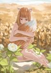  1girl absurdres animal_ears barefoot brown_hair day field flower hehuyezi highres holo nude outdoors red_eyes rock sitting solo spice_and_wolf tail tail_hold white_flower wolf_ears 