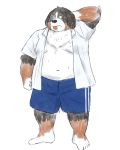  2020 4:5 anthro belly bernese_mountain_dog black_body black_fur bottomwear brown_body brown_fur canid canine canis clothed clothing domestic_dog fur hi_res kemono male mammal molosser mountain_dog open_clothing open_shirt open_topwear overweight overweight_anthro overweight_male shirt shorts simple_background solo swiss_mountain_dog tongue tongue_out topwear white_background white_body white_fur yaki_atsuage 