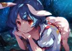  animal_ears blue_hair bunny_ears ke-ta night red_eyes seiran short_hair touhou 