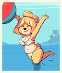  2019 animal_crossing anthro ball beach_ball bikini breasts canid canine canis cleavage clothed clothing domestic_dog female fur hi_res isabelle_(animal_crossing) mammal navel nintendo sea shih_tzu solo sprocket_(artist) swimwear toy_dog video_games water yellow_body yellow_fur 