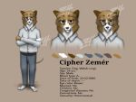  4:3 brown_body brown_eyes brown_fur canid canine canis cipher_zemer clothed clothing domestic_dog english_text full-length_portrait fully_clothed fur hands_folded herding_dog hi_res looking_at_viewer mammal model_sheet pastoral_dog portrait simple_background text watermark welsh_corgi white_body white_fur zerohours 