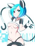  1girl absurdres animal_ears arm_behind_head blue_eyes blue_hair borrowed_character breasts cowboy_shot crop_top cropped_shirt gloves heterochromia highres medium_breasts navel original pink_eyes short_hair simple_background striped striped_tail tail totallyiryanic underboob vomi_agogo white_background 
