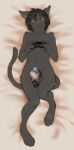 2017 anthro bedding bedding_background biped controller covering covering_crotch dakimakura_design digital_media_(artwork) felid feline fur game_case game_controller grey_body grey_fur grey_hair hair hindpaw holding_controller holding_game_controller holding_object kilver looking_at_viewer lying male mammal on_back orange_eyes paws pink_nose solo tail