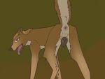 alpha_and_omega anatomically_correct animal_genitalia anus butt canid canine canine_genitalia canis female feral genitals hi_res kate_(alpha_and_omega) looking_at_viewer mammal open_mouth presenting presenting_hindquarters puffy_anus ravenfangs solo wolf