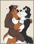 &lt;3 2024 alt_energy_dog anthro anthro_on_anthro anthro_on_bottom anthro_on_top baseball_cap berchbark bluey_(series) blush bodily_fluids border border_collie canid canine canis claws clothing collie cuddling dialogue_box domestic_dog duo erection eyebrows fur genitals grey_background grey_border hand_on_arm hand_on_back hand_on_chest hand_on_pecs hat headgear headwear herding_dog hi_res humanoid_genitalia humanoid_penis kneeling mackenzie&#039;s_dad_(bluey) male male/male male_on_bottom male_on_top mammal motion_lines muscular muscular_anthro muscular_male narrowed_eyes nipples nude on_bottom on_lap on_top open_mouth open_smile pastoral_dog pec_grab pecs penis sheepdog side_view simple_background sitting smile sweat sweatdrop tongue tongue_out tuft
