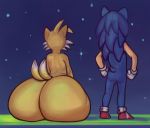  absurd_res anthro big_butt butt canid canine diadorin dipstick_tail duo eulipotyphlan fox fur hedgehog hi_res huge_butt hyper hyper_butt male mammal miles_prower multicolored_tail pose sitting sonic_the_hedgehog sonic_the_hedgehog_(series) 