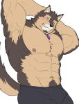 abs anthro blush brown_body brown_fur bulge canid canine canis domestic_dog fur hi_res lifewonders live_a_hero male mammal muscular muscular_anthro navel nikukyu299paw one_eye_closed pecs pubraseer shirtless solo wink