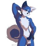  1:1 animal_genitalia anthro balls blue_body blue_fur blush canid canine canis digital_drawing_(artwork) digital_media_(artwork) domestic_dog erection fur furrholic genitals heterochromia hybrid knot male mammal nude penis shiba_inu shy smile solo spitz white_body white_fur wolf 