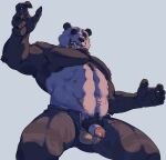 abs absurd_res anthro balls bear beastars belly_tuft bottomwear clothed clothing flaccid genitals giant_panda gouhin_(beastars) hi_res low-angle_view male mammal navel_tuft open_bottomwear open_clothing open_mouth open_pants pants partially_clothed penis pubes saadness sadness_hao scar simple_background small_penis solo teeth topless topless_anthro topless_male tuft