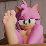 2024 3d_(artwork) amy_rose anthro areola barefoot breasts digital_media_(artwork) eulipotyphlan feet female foot_fetish foot_focus green_eyes hair hedgehog mammal multicolored_body nipples nude pink_body pink_hair sega smile soles solo sonic_the_hedgehog_(series) tan_body twintails3d two_tone_body